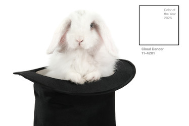 Similar image 22452796