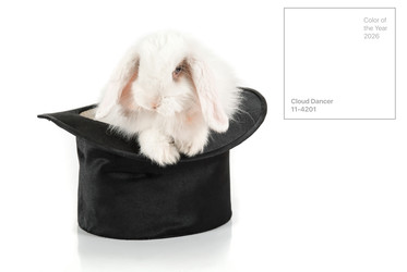 Similar image 22452797