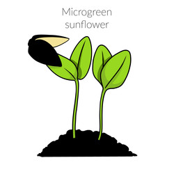 Similar image 22425029