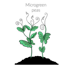 Similar image 22425031