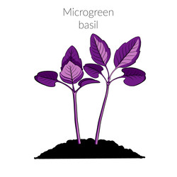 Similar image 22425032