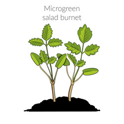 Similar image 22425034