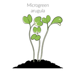 Similar image 22425038