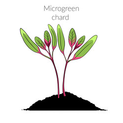 Similar image 22425042