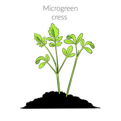 Similar image 22425043