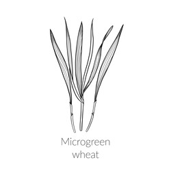 Similar image 22425046