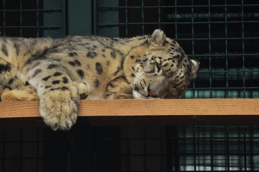 Similar image 22453798