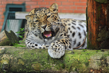 Similar image 22453799