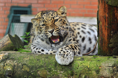 Similar image 22453800