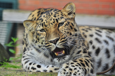 Similar image 22453801