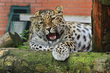 Similar image 22453802