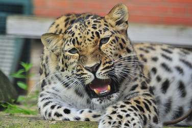 Similar image 22453803