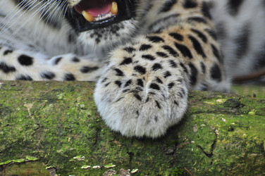 Similar image 22453804