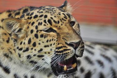 Similar image 22453805