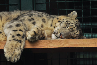 Similar image 22453808