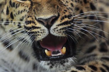 Similar image 22453809