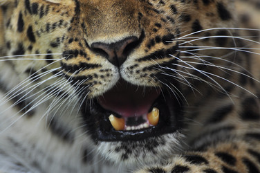 Similar image 22453810