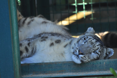 Similar image 22453811