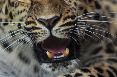 Similar image 22453812