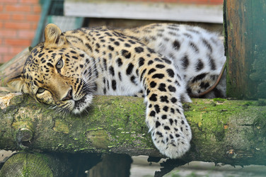 Similar image 22453813