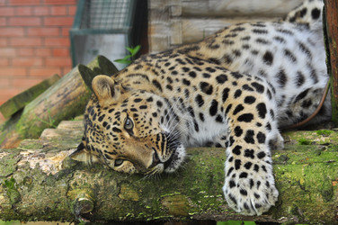 Similar image 22453815