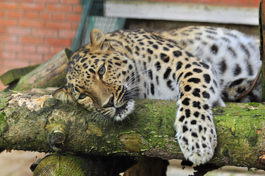 Similar image 22453816