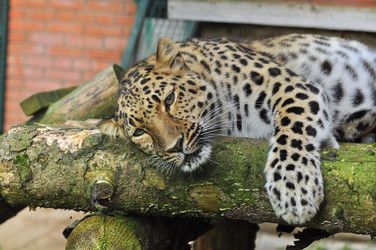 Similar image 22453817