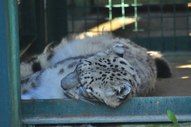 Similar image 22453818