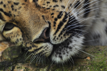 Similar image 22453819