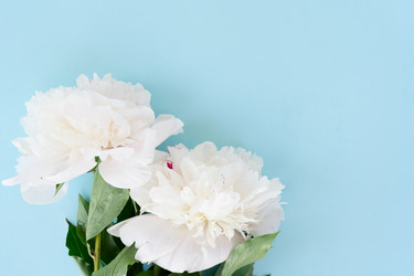 Similar image 22421239