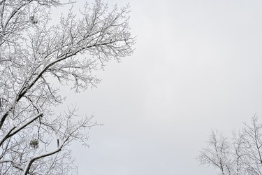 Similar image 22421240