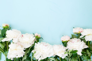 Similar image 22421242