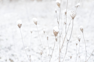 Similar image 22421244