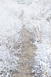 Similar image 22421248