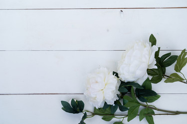 Similar image 22421266