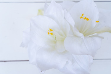 Similar image 22421272