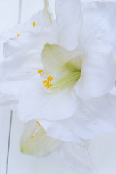 Similar image 22421274