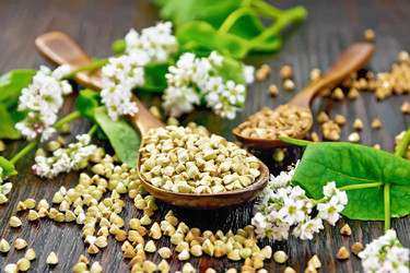 Similar image 22423020