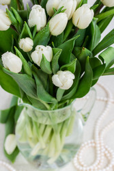 Similar image 22421288