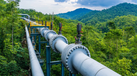 Similar image 22421289