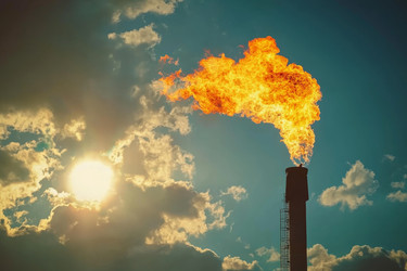 Similar image 22421291