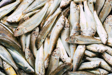 Similar image 22460890