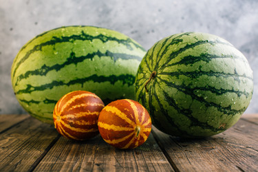 Similar image 22456740