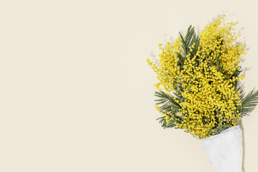 Similar image 22443816