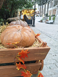 Similar image 22442470