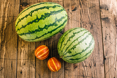 Similar image 22456696