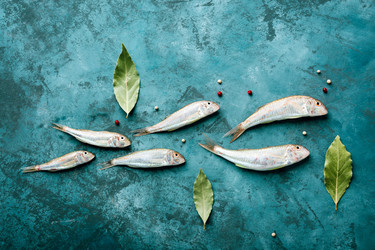 Similar image 22460831