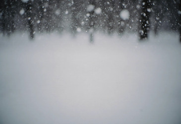 Similar image 22464428