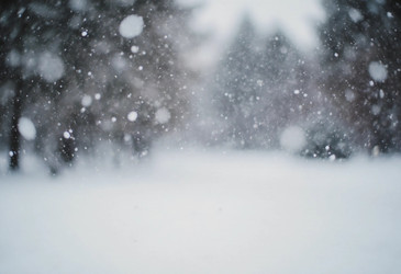 Similar image 22464443