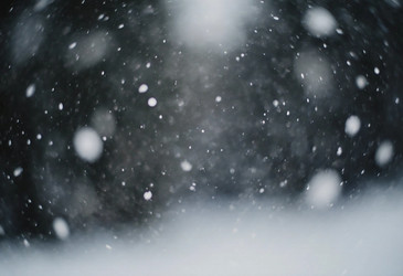 Similar image 22464458